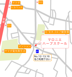 マロニエハーブスクール 案内地図